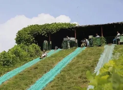 竹泉村与红石寨 避暑逍遥游引领夏日旅游新风尚