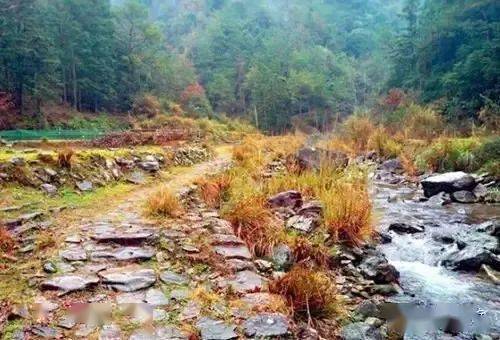 古道览秋 乐清这5条秋日古道，感受诗意秋色与星外系村部落风情