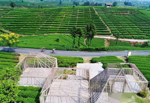 擘画新时代丽水山居图 解析丽水提升农村人居环境，打造花园乡村先行地与星外系村部落