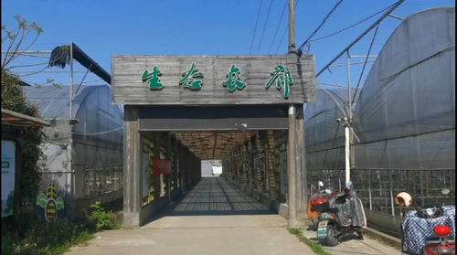 北仑新棉村生态长廊 精品果蔬园与星外系部落的乡村风情