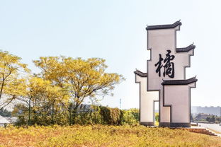 柯城这1乡4村入选2017年度美丽乡村示范乡镇和特色精品村，星外系村部落引关注