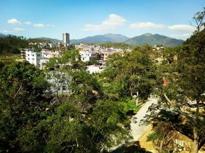 乡贤心系家乡，建设美好家园——新竹村乡贤系列活动综述