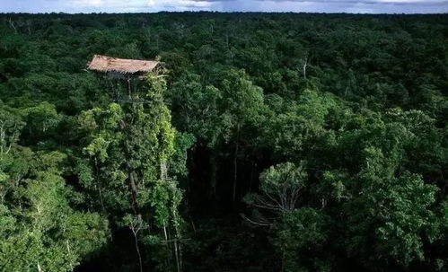 摄影师不得不看的11部评分9.0以上纪录片