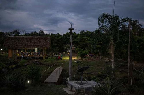 通网9个月后,亚马孙土著部落 乱套 了