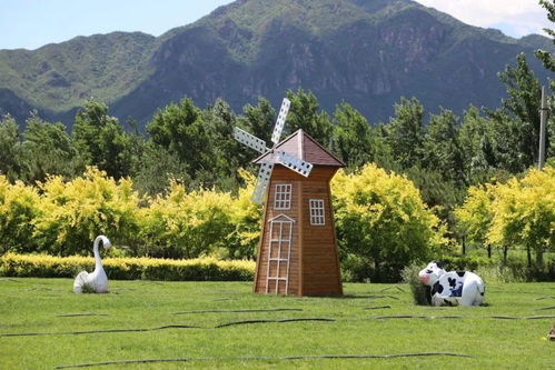 美丽首农 新体验 服务市民新需求 2023年 美丽首农 赏味樱桃季 启动