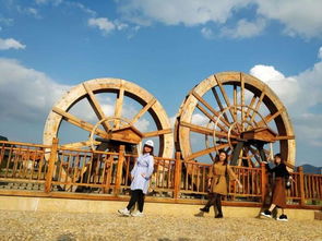 四会这条乡村入选广东美丽乡村特色名村 走起