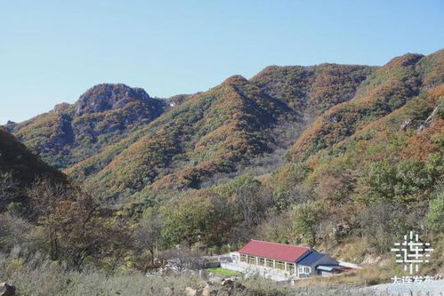 重磅推出 大连 诗画 之路