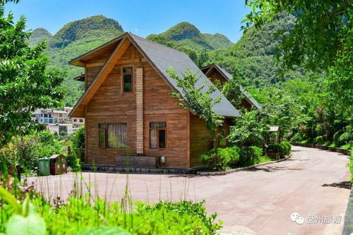 别把时光浪费在被窝里,温泉和冷空气更配哦