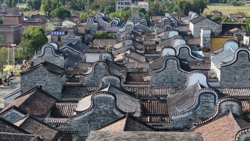 清远佛冈上岳村 以农文旅为引领,绘就典型村 振兴图