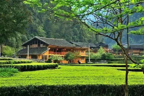 墅图网 不在农村住了,为什么还要在老家留一栋房子