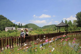 游泳 赏花 摘果 毕节周边这些地方太好玩啦 嗨翻一夏