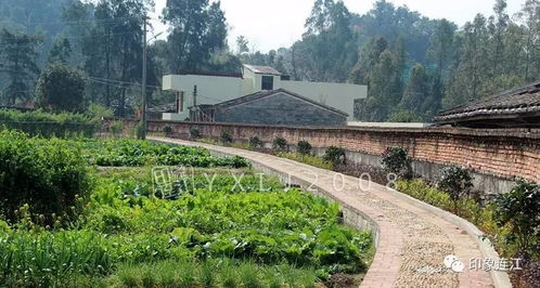 岩下村，你才不是一个没有故事的村落——连江美丽乡村系列宣传之五 星外系村部落