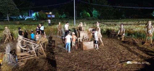 乡村稻田狂欢夜 富万村丰收喜悦醉游人