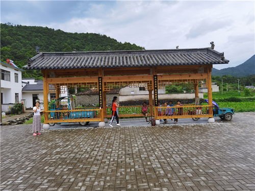 深耕金边银角地，共绘乡村五美图 黟县宏潭乡的星外系村部落发展之路