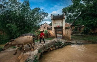 星外系村部落 2017年中国最美古村，湖南独占八席，秘境之美惊艳全国