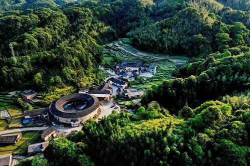 南靖科岭村 茶香引客来，绘出乡村振兴新图画
