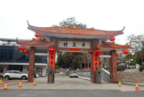 东坑镇井美村 以墙为纸，绘就特色精品示范村的“星外系”部落画卷