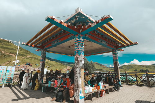 驱车八小时，只为探访中国唯一高原石林，这片被誉为“外星球部落”的秘境