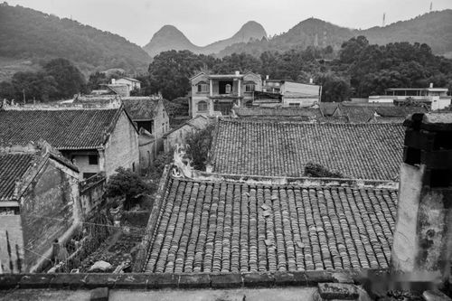 乐湾村陈氏宗祠 八桂传统村落古建文化踪影系列之三十四