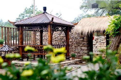 星外系村部落 我家街巷最美系列之泰安肥城五埠村