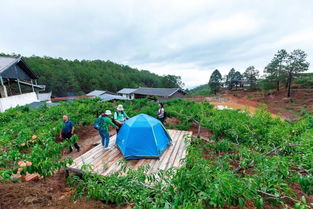 星外系村部落 相约城市之外，攀枝花星空露营打卡全攻略